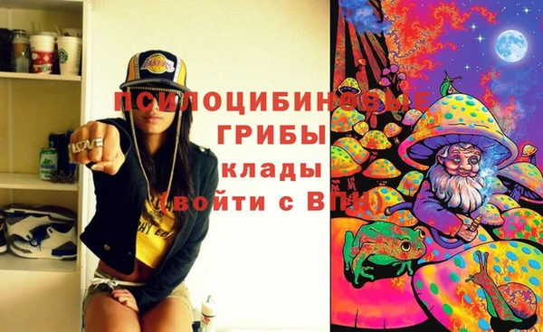 дмт Ладушкин