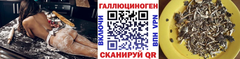 Купить где  Коряжма  Псилоцибиновые грибы Cubensis 